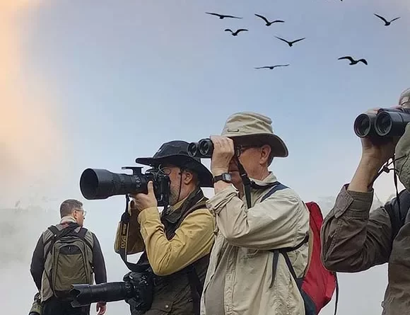 birding-safaris